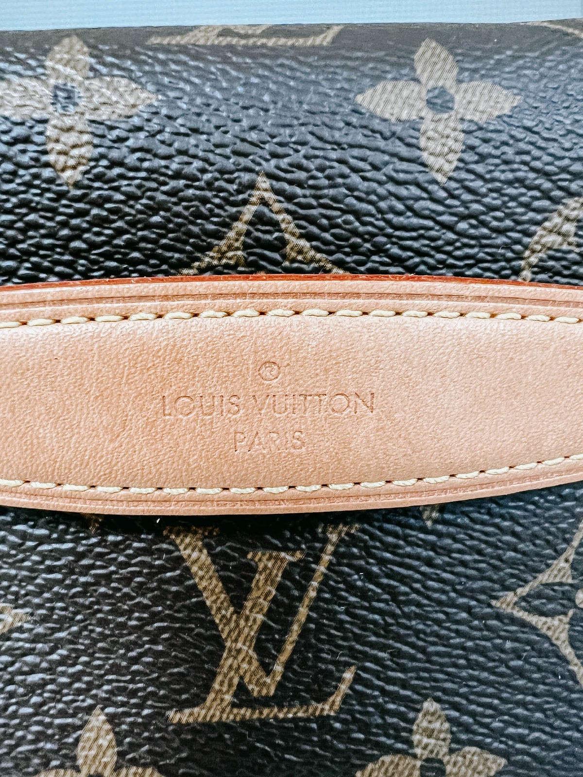 Pre-Owned Louis Vuitton Monogram Bumbag *Final Sale*